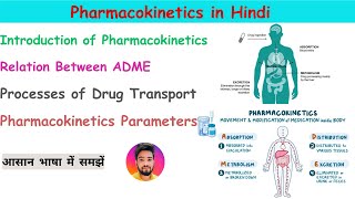 Pharmacokinetics in Hindi  ADME  Absorption Distribution Metabolism and Excretion  Pharmacology [upl. by Gelasias]