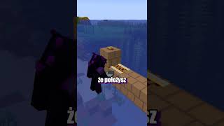 SAMOWYSTARCZALNY WAGONIK w MINECRAFT [upl. by Anibas]