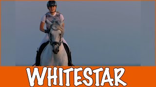 WHITESTAR  TO THE STARS Kimberly Fransens  PaardenpraatTV [upl. by Rettuc]