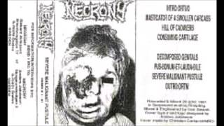 Necrony SWE DeathGrind 1991  Severe Malignant Pustule Full Demo [upl. by Nadia495]