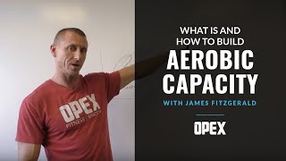 What Is and How To Build Aerobic Capacity [upl. by Olette911]