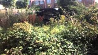 Garden Clearance Oxford amp Waste Removal Oxford [upl. by Shurlock853]