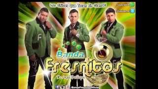 TONGONEAITO BANDA FRESNITOS [upl. by Carrillo]