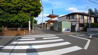 【散歩】東京都杉並区下高井戸を歩く【所用で仙川行ったついでにそこから都心方向へ歩くか編 part5】 [upl. by Astrix393]