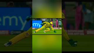 Cricketers strong catches  aja mujhe le chal song shortscricket viral [upl. by Heda]