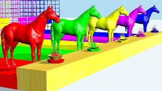 Learn Colors Animals Horse Eat Grass colorful Cartoon for Children [upl. by Tullus842]