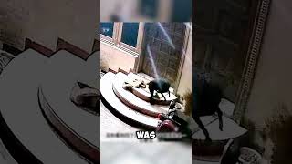 Leopard Invades Neighborhood and Targets Guard Dog shorts viralvideo [upl. by Deppy305]