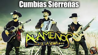 Los Alameños De La Sierra  CUMBIAS LAS MAS CHINGONAS PA BAILAR Mix 2022  Alameños Huapangos Mix [upl. by Ahtabat]