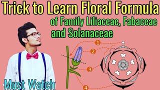 Trick to Write Floral Formulas of Family Fabaceae Solanaceae amp Liliaceae  Morphology via NCERT [upl. by Ahseik]