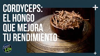 ❗TODO sobre el CORDYCEPS❗ El hongo DE LOS DEPORTISTAS  SPORT LIFE [upl. by Lekcar]