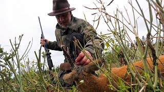 Bockjagd in Schweden mit der Kipplaufbüchse [upl. by Hound]