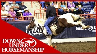 Clinton Anderson 2016 Walkabout Tours  Downunder Horsemanship [upl. by Philana]