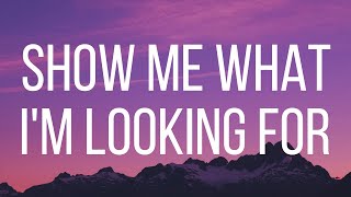 Show me what Im looking for  Carolina Liar LYRICS [upl. by Munford]