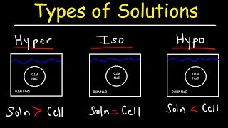 Hypertonic Hypotonic and Isotonic Solutions [upl. by Flodnar]