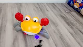 Amazon Must Haves Toys For Toddlers Singing amp Crawling Crab Review [upl. by Belanger]