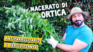 il Macerato di ortica  realizzare un antiparassitario e un fertilizzante naturale con questa pianta [upl. by Enelrad]