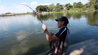 Bungsamran Fishing Park 湄公河鯰 30kg OVER [upl. by Waverly]