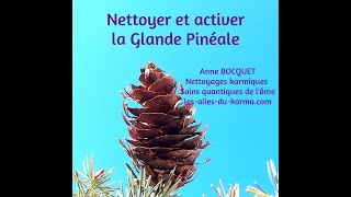 Nettoyer et activer la glande pinéale [upl. by Gadmann]