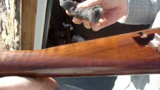 quotPart 4 Applying the Truoil and buffing to the desired finishquot Stock Refinishing [upl. by Feliza]