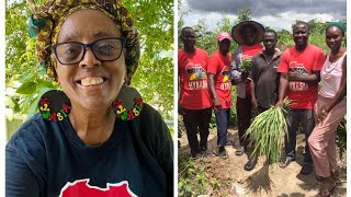 Rooted in Resilience Recent Developments in Our Gambian Permaculture Food Forest [upl. by Granville]