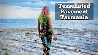 Tessellated Pavement  Eaglehawk Neck Tasmania  Australia australia tasmania travel travelvlog [upl. by Nash]