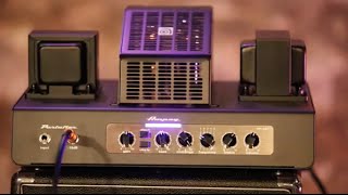 Review Demo  Ampeg PF50T [upl. by Mckale]