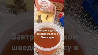 ЗАПОЛЯРЬЕ Завтрак в палатке⬇️ Breakfast above the Arctic Circle Tea fish spread cheese crisps [upl. by Annayram]