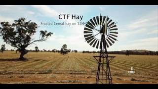 CTF Hay making [upl. by Celtic]