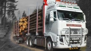 Timber truck loading  Sweden [upl. by Anowahs]