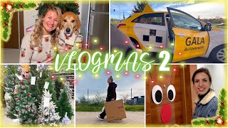 VLOGMAS SHATUNGUERO Soda y yo MONTAMOS nuestro 1º ÁRBOL DE NAVIDAD  mi primera clase de CONDUCIR [upl. by Aronal342]