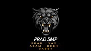 Playing NEW PSMP Prad SMP [upl. by Pol]