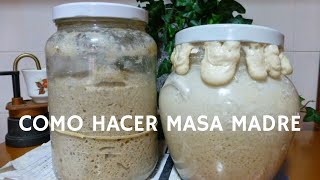 Como hacer masa madre  Receta casera para hacer pan en casa [upl. by Zales]