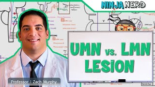 Neurology  Upper Motor Neuron vs Lower Motor Neuron Lesion  UMN vs LMN Lesion [upl. by Zealand]