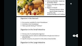 carbohydrates carbohydrates digestion and absorption [upl. by Yhtamit]