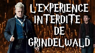 THÉORIE ANIMAUX FANTASTIQUES  L’EXPÉRIENCE INTERDITE DE GRINDELWALD ⚡ [upl. by Pascia298]