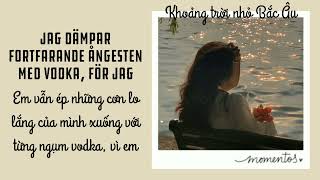 Lyrics  Vietsub Ensam  LOAM estraden [upl. by Llevol]