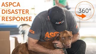 ASPCA Lifesaving Disaster Response  360 [upl. by Mitzie579]