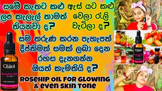 කළු ලප ඉවත් කරන සම තරුණ කරන Rosehip Seed Oil  Benefits And Beauty Hacks With Rosehip Seed Oil [upl. by Atled]