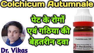 Colchicum Autumnale Homeopathic Medicine II Colchicum 30 Uses In Hindi II Colchicum [upl. by Amhsirak909]