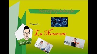 02 Tissu Nerveux la neurone  Neurophysiologie Bac Tunisie [upl. by Ecirtaeb978]