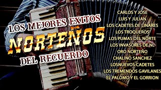 Puros Exitos Norteños Viejitos  Coleccion De Corridos Perrones Mix [upl. by Lindgren]