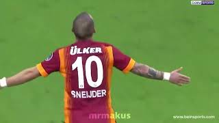 Wesley Sneijder [upl. by Ilagam]