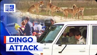 Dingoes could be euthanised following vicious attack on woman  9 News Australia [upl. by Bloch]