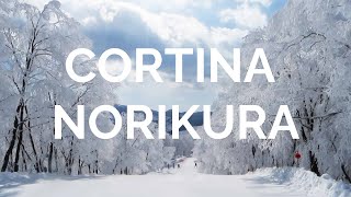 Cortina and Norikura Ski Resorts in Hakuba Japan [upl. by Nork]