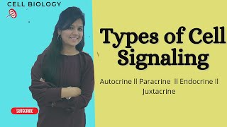 Types of cell Signaling I Autocrine I Paracrine I Endocrine I Juxtacrine cellsignaling [upl. by Nagoh150]