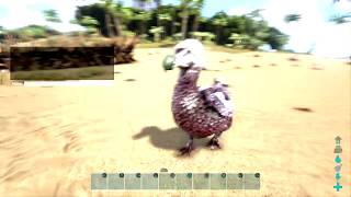 HOW TO GET FROM LVL 1 TO 24 IN 5 MINS EASY Ark Survival Evolved [upl. by Econah]