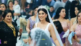 Tarek Shexani Lauin amp Serleen Lauand amp Evin  Part06  Evendeko  Kurdische Hochzeit by DilocanPro [upl. by Yellac]