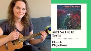 Aint No Use In Tryin  Trampled By Turtles  Ukulele PlayAlong [upl. by Hibbs]