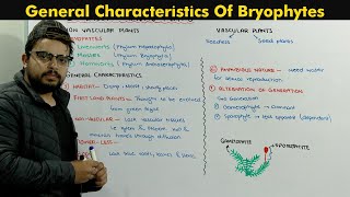 Bryophytes Plants Introduction Chapter Diversity Among Plants [upl. by Aihsad967]