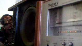 Bass I Love You Played on BOSE 301 II [upl. by Edialeda762]